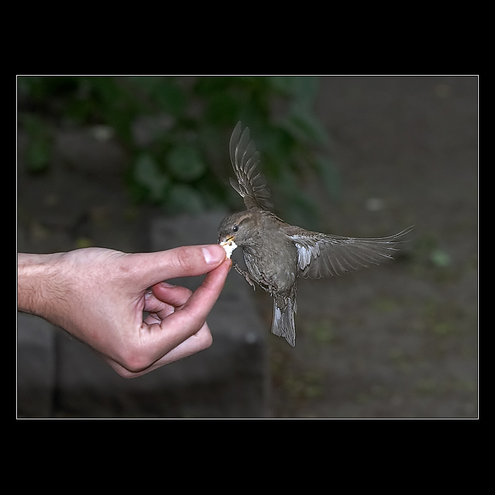 <b>* Zasloužená odměna *</b>