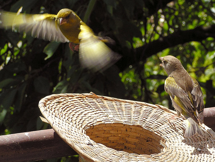 Pozor, kormidlo do leva!