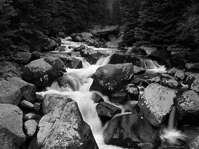 ...river on my dreams...