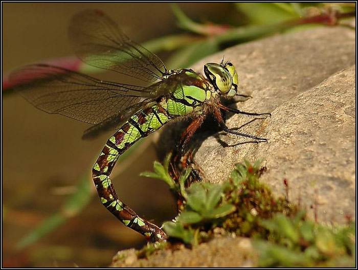 <B>Vážčí pozdrav PP-ákům z dovolené...</B>