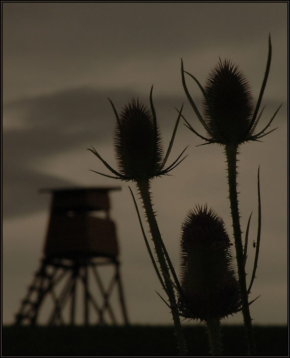 <B>NA ČEKANÉ...</B>