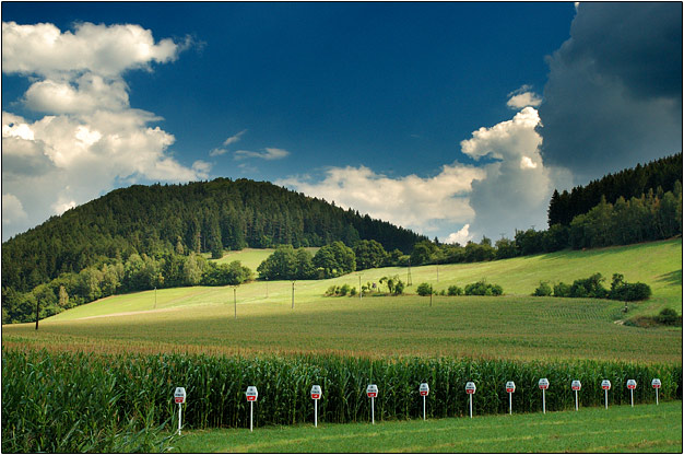 Kurimsko