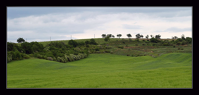 Ječmeniště