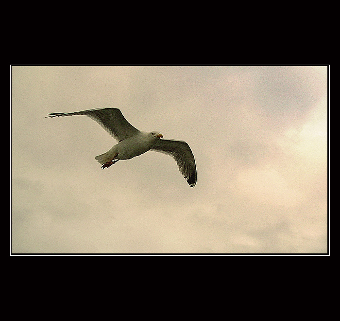 Severomořské imprese I