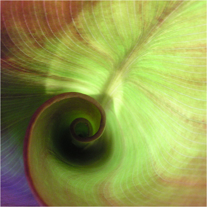 Spirála