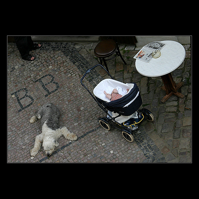 * NA KAMPĚ JE DOBŘE *