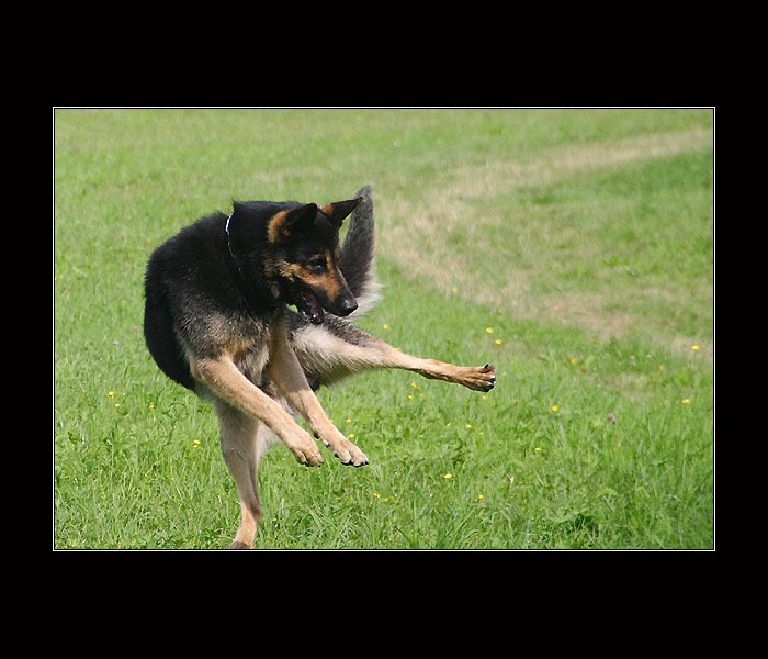 <b>KUNG-FU Legenda pokračuje!</b>