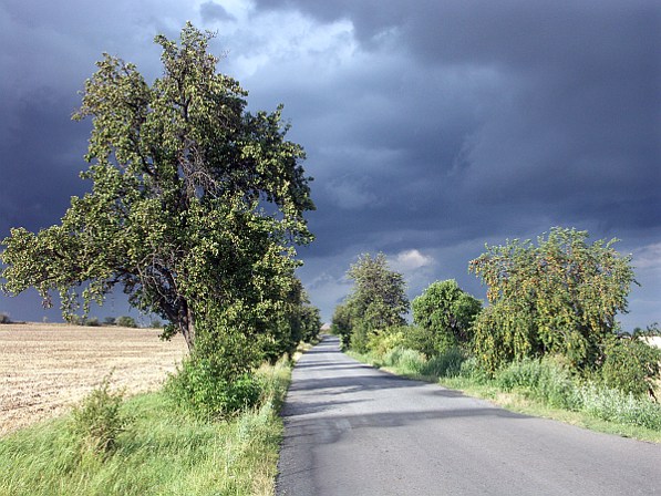 Před bouřkou.