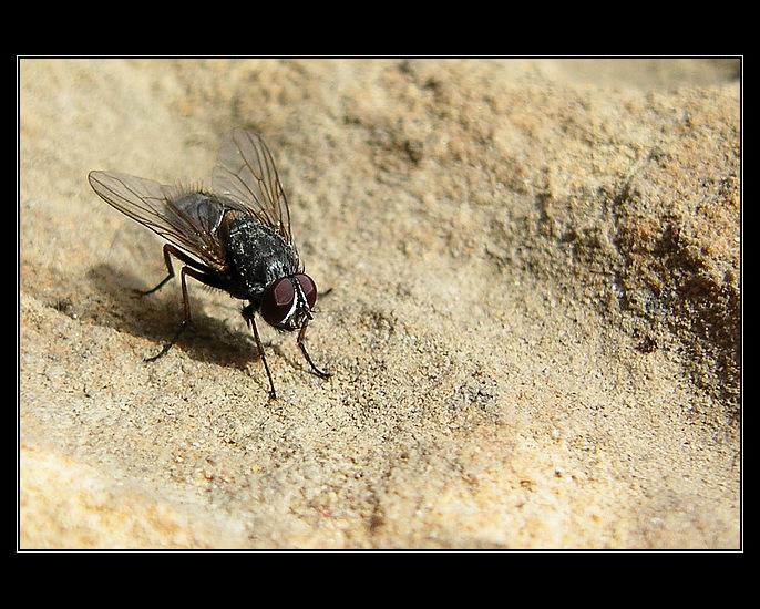 Nemáš nějakej mls?..