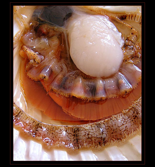 H Ř E B E N A T K A ... aneb něco pro labužníky :)