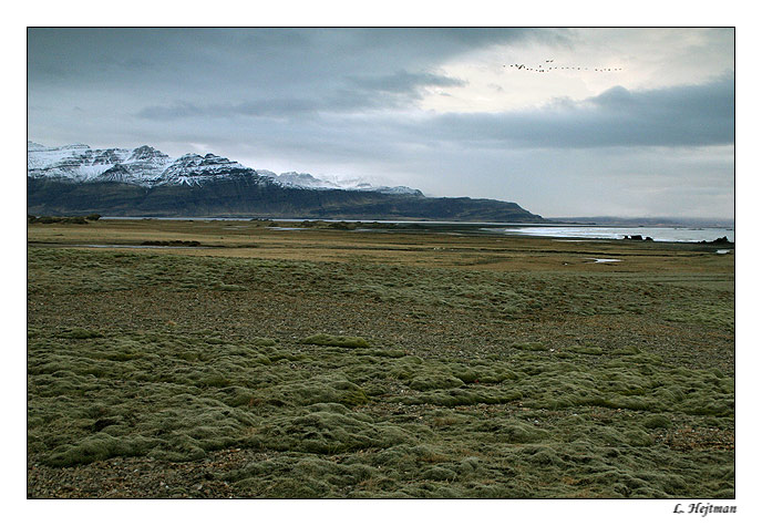 Island III