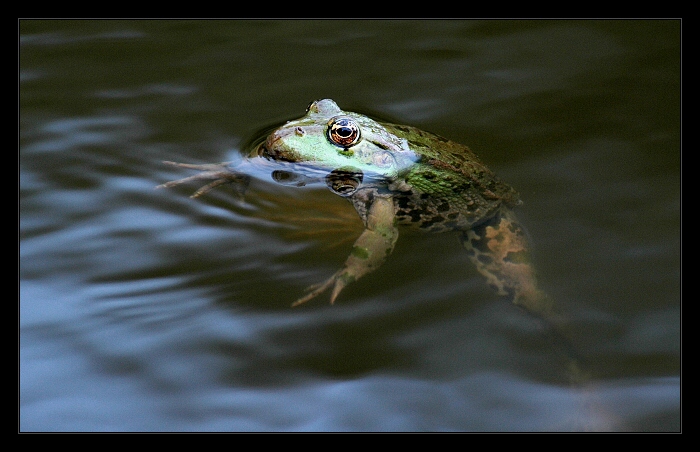 když bez PP, tak aspoň takhle ...