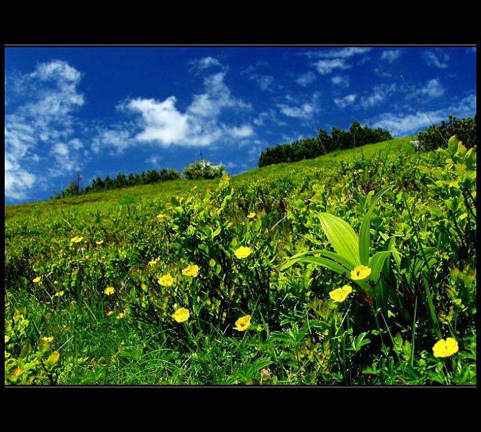 Krakonošovo II