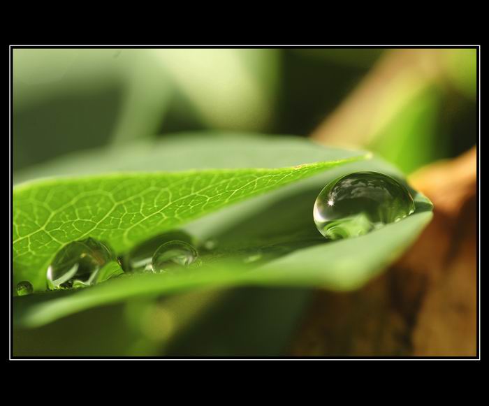 věštění z křišťálové koule