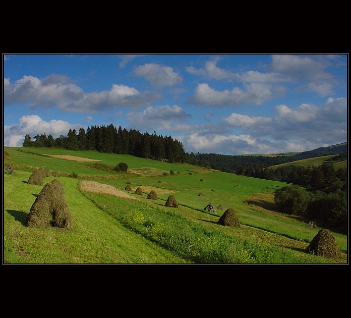 Kôpky