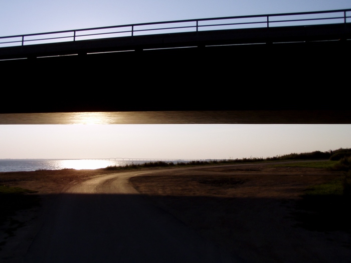 Under The Bridge