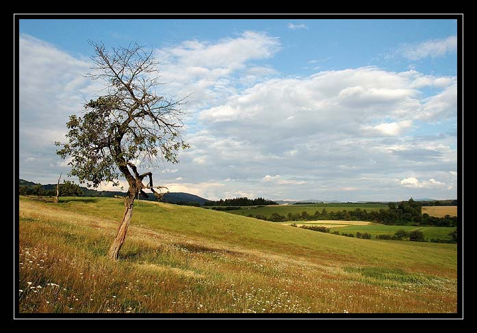 krajina maluje