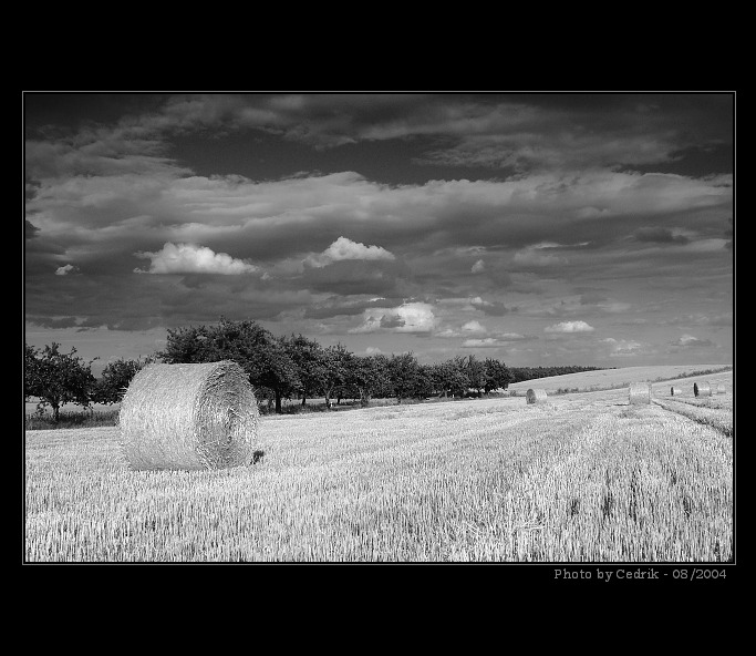 ..:: Na moravských stráních ::..