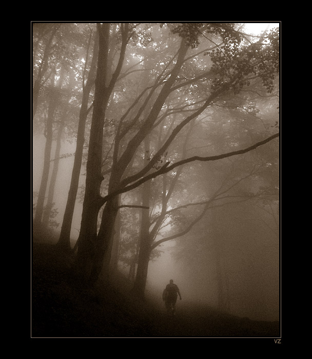 Ztraceni v Zakletém lese