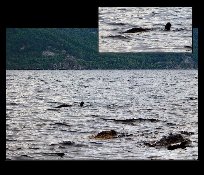 Lochneska v přímém přenosu