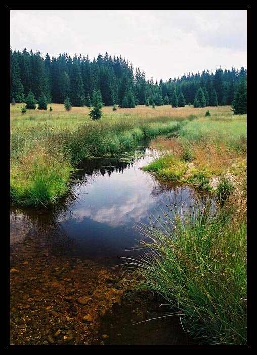 Novohradky