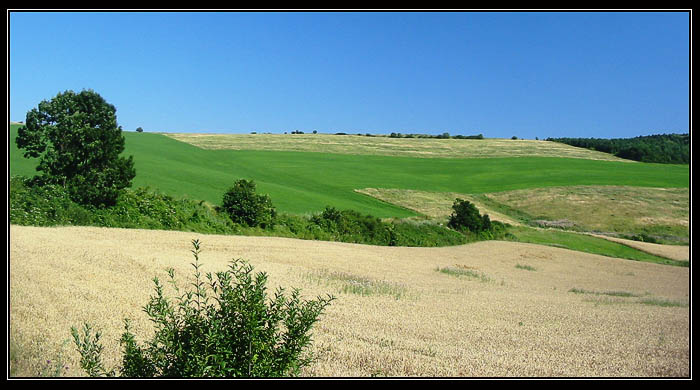 Myjavská pahorkatina