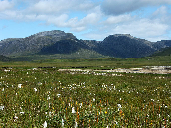 Highland II