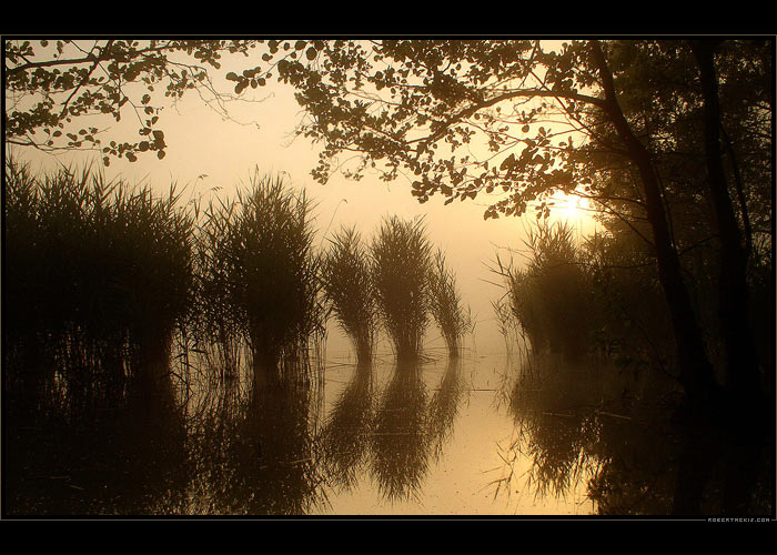 Ráno s ukradeným horizontem