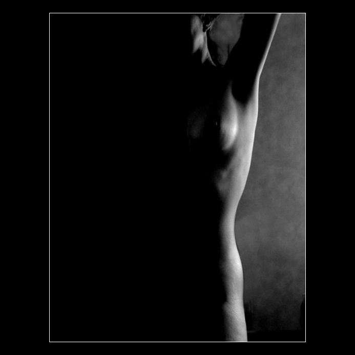 linie