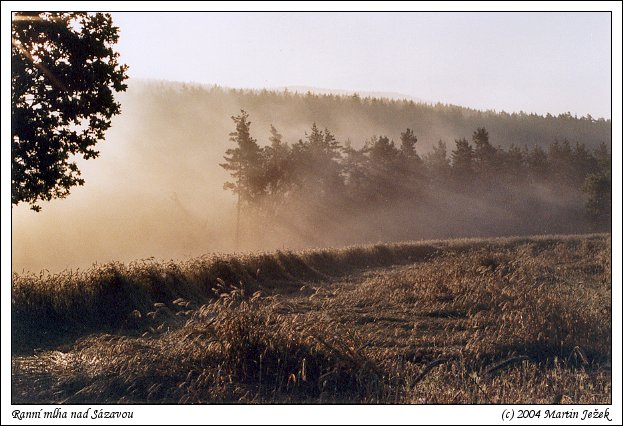 Ranní mlha nad Sázavou