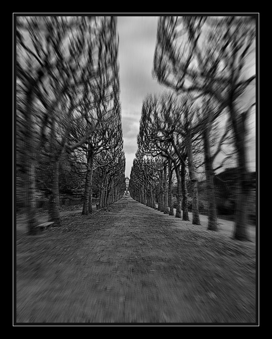 - Jardin des Plantes -