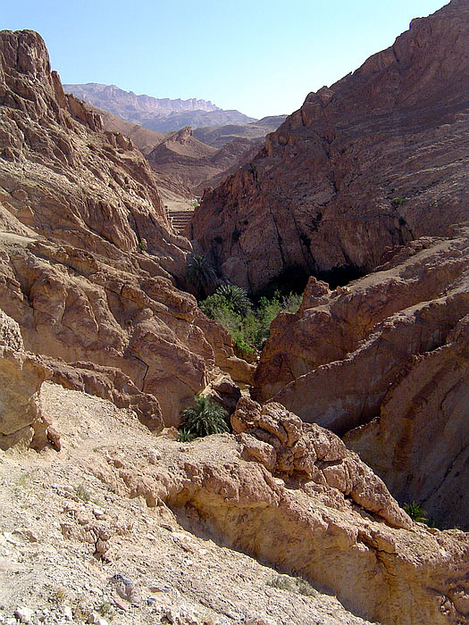 Tunisko - Chebika