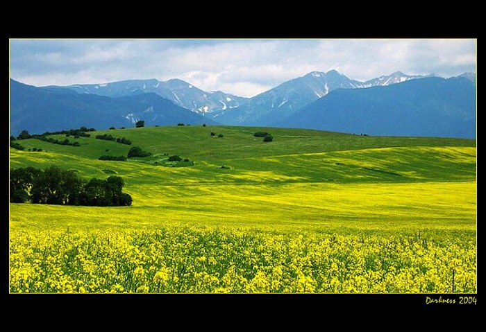 Vzpominka na repku :-)