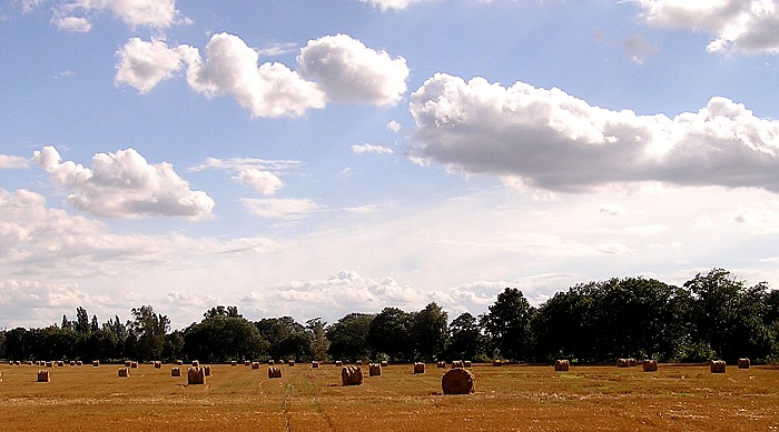 Slámofka