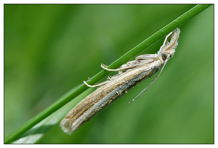 ... travařík ...   / snad :) /