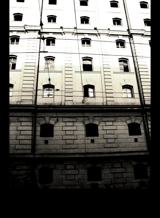 .: pIvOvAr WINDOWS 2004 :.