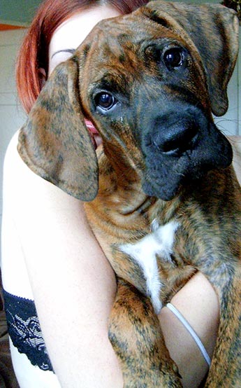 Bastien:)