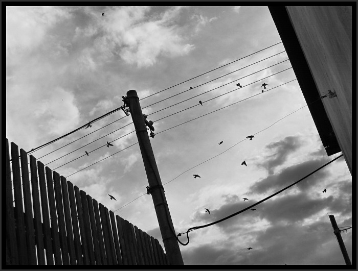 Connecting people...
