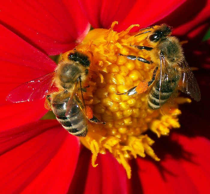 Aspoň niekto maká :-)