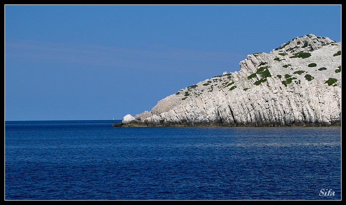 kornaty
