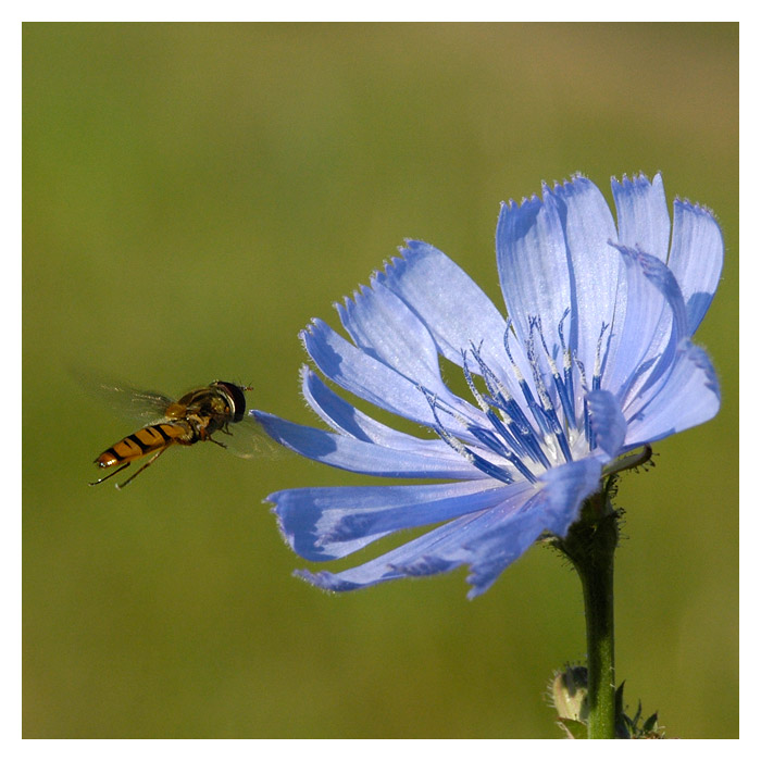 žádám o povolení k přistání :)