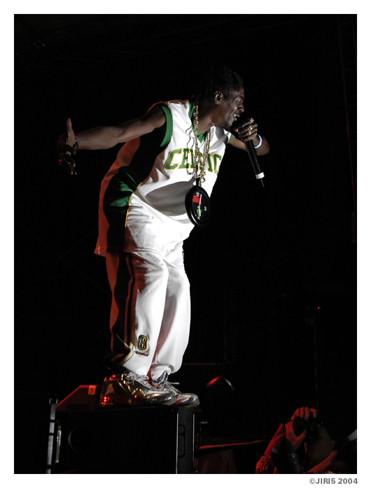 Flavor Flav