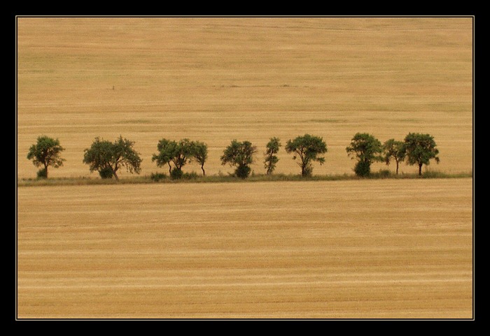 Horizontální krajina