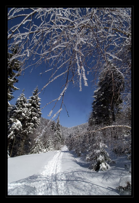 Zima v Orlických horách