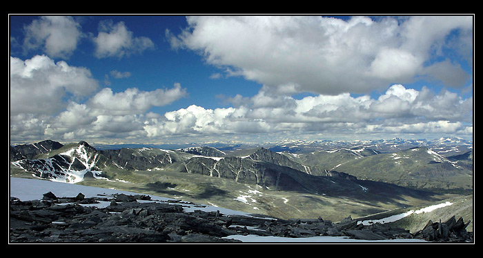 Protrhaná Mrakofka Norská (horská)