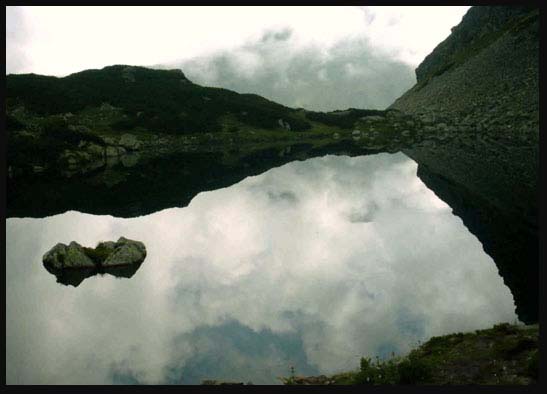 Roháče