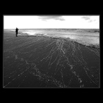 Young Man And The Sea