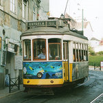Estrela 28