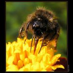 Sosáčkama sosáme...