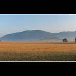 <b>....morning glory</b>